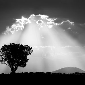 Amen (Limited Edition)