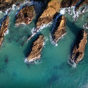 Above Cathedral Rocks