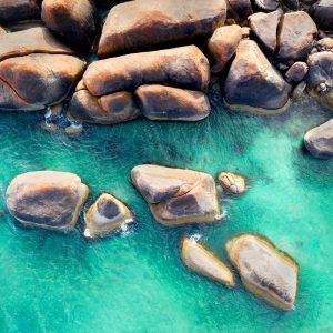 Elephant Rocks (Limited Edition)